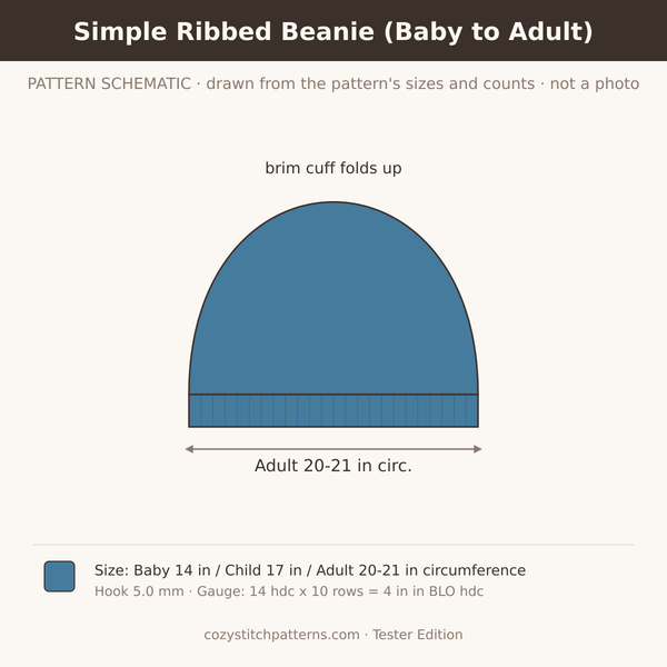 Simple Ribbed Beanie (Baby to Adult): pattern schematic drawn from the sizes and stitch counts · not a photo